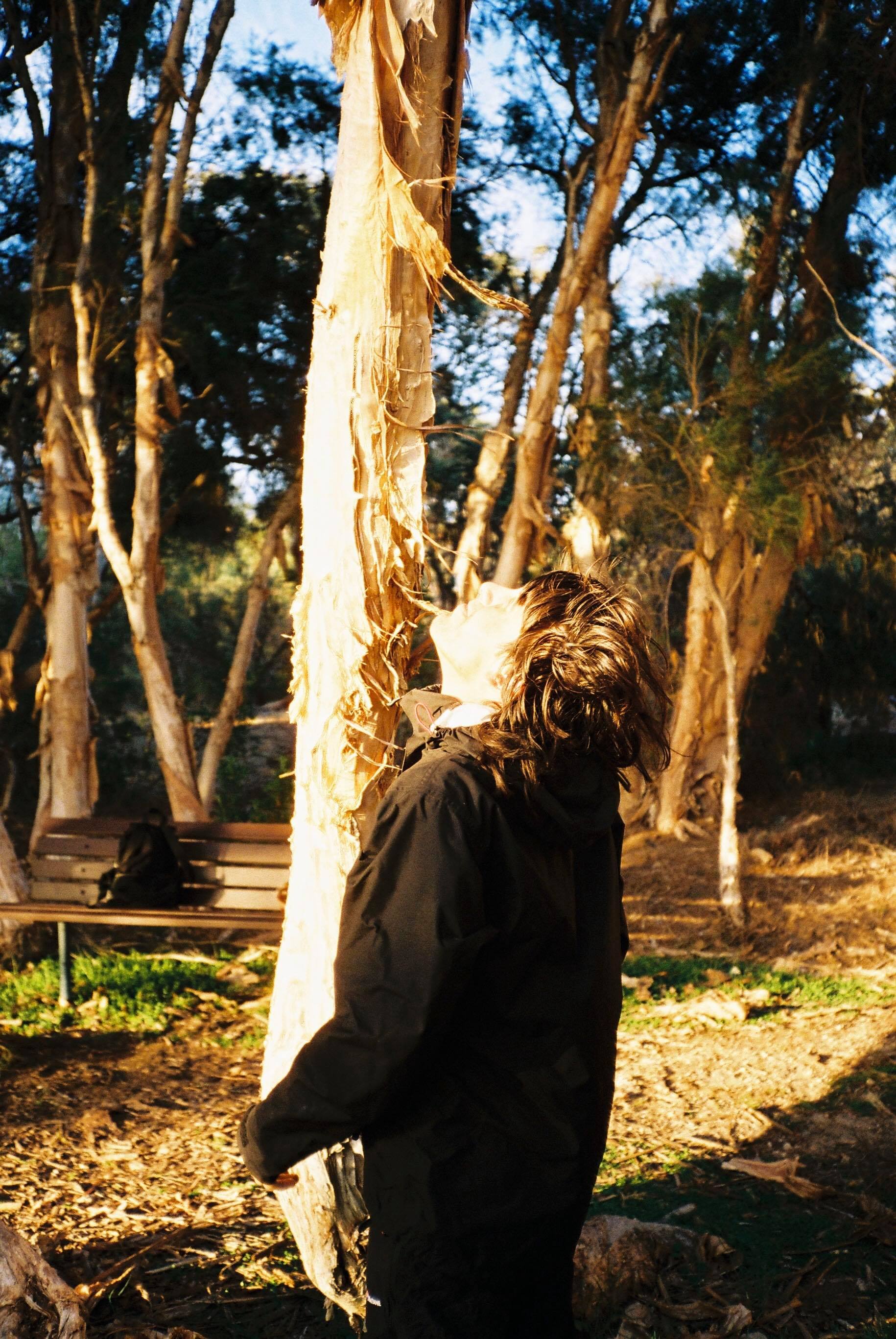 Alex Turner standing underneath a Melaleuca tree in Berringa Wetlands. the sun is shining on their face